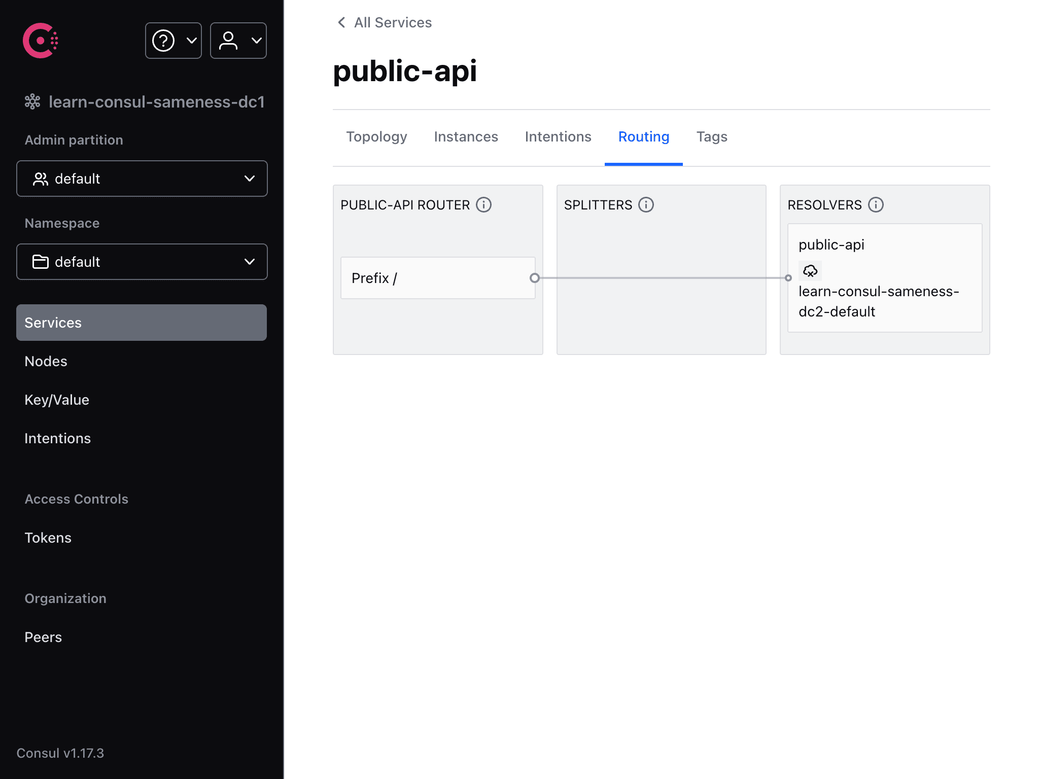 HCP UI details for the public-api service