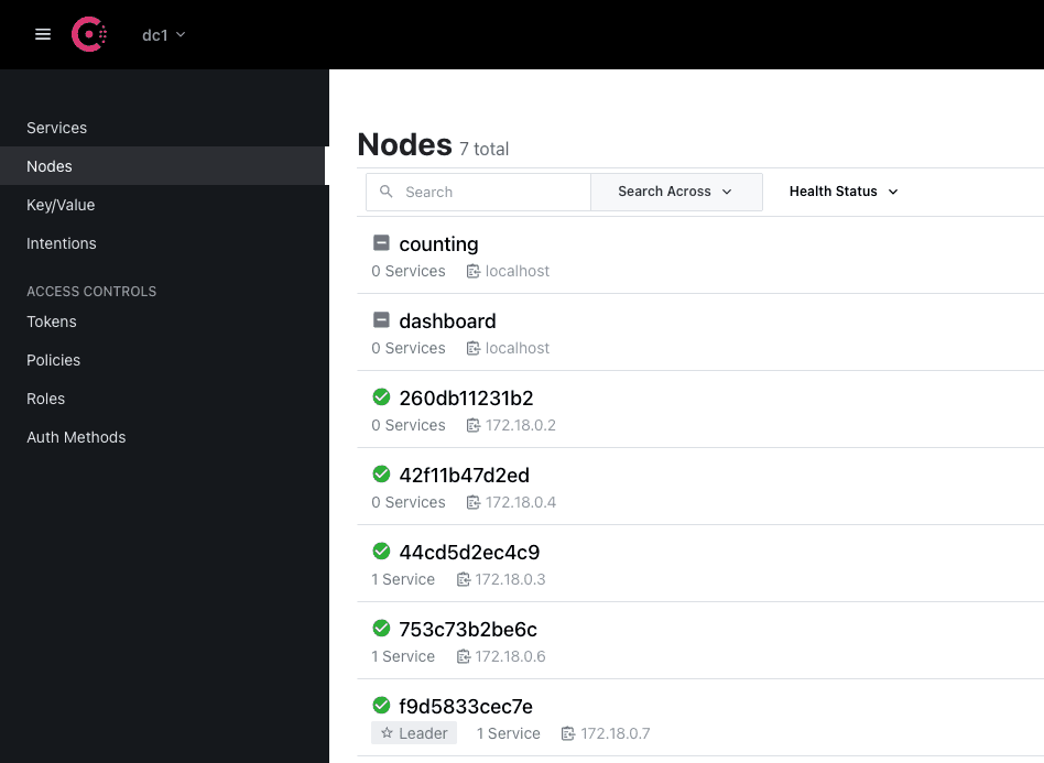 Consul UI Nodes